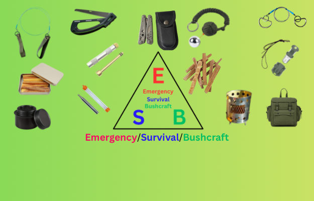 ESB SURVIVAL
